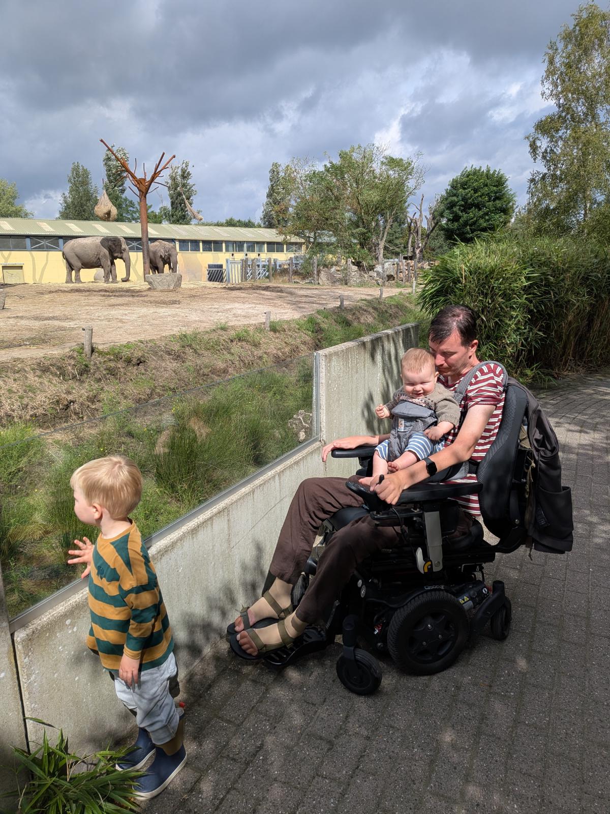 Met Tuur en Has bij de olifanten