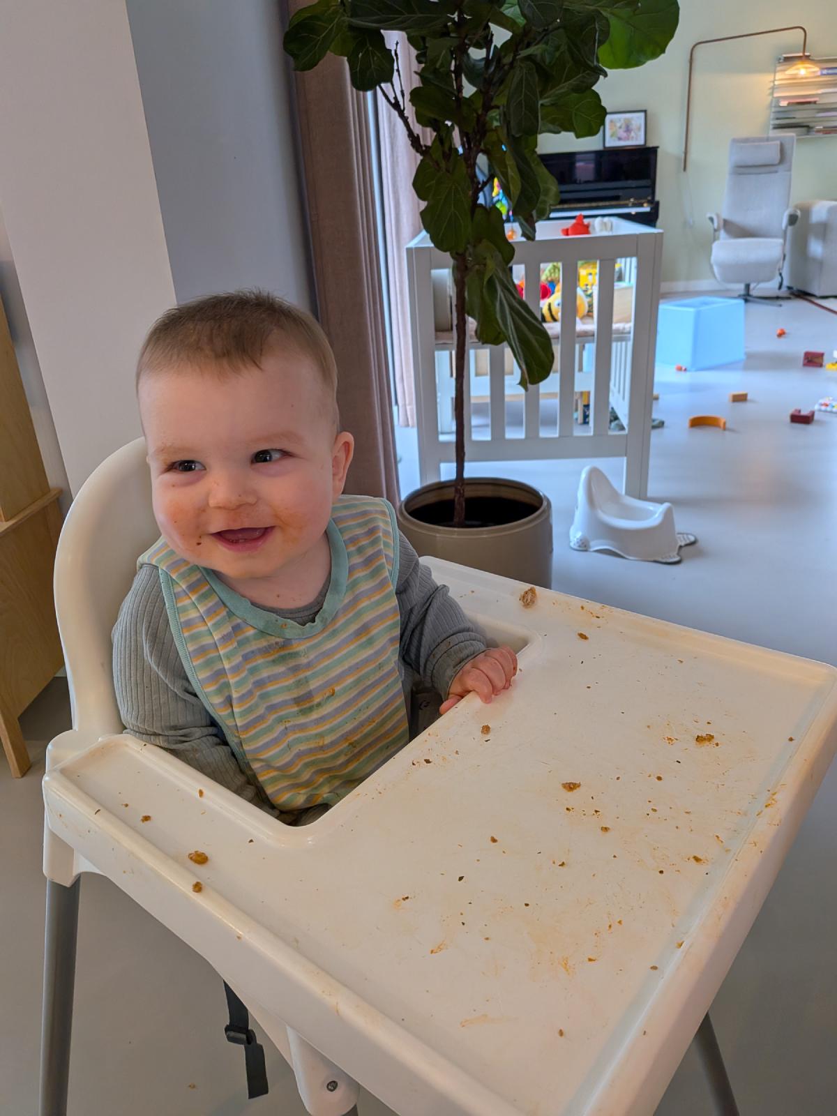 Has in de kinderstoel